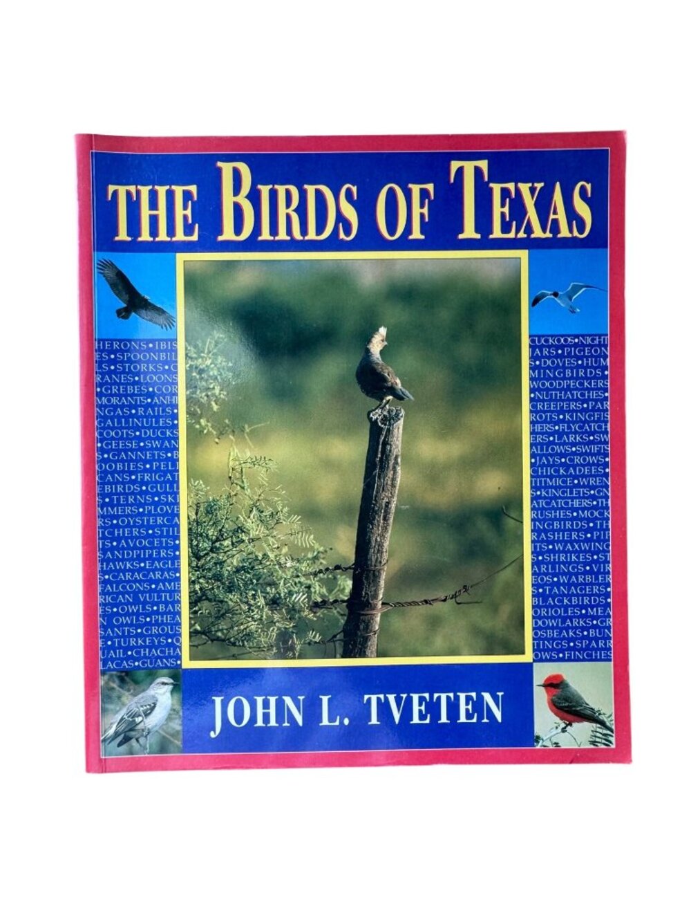 The Birds Of Texas By John L. Tveten Large Softcover Field Guide - 1993